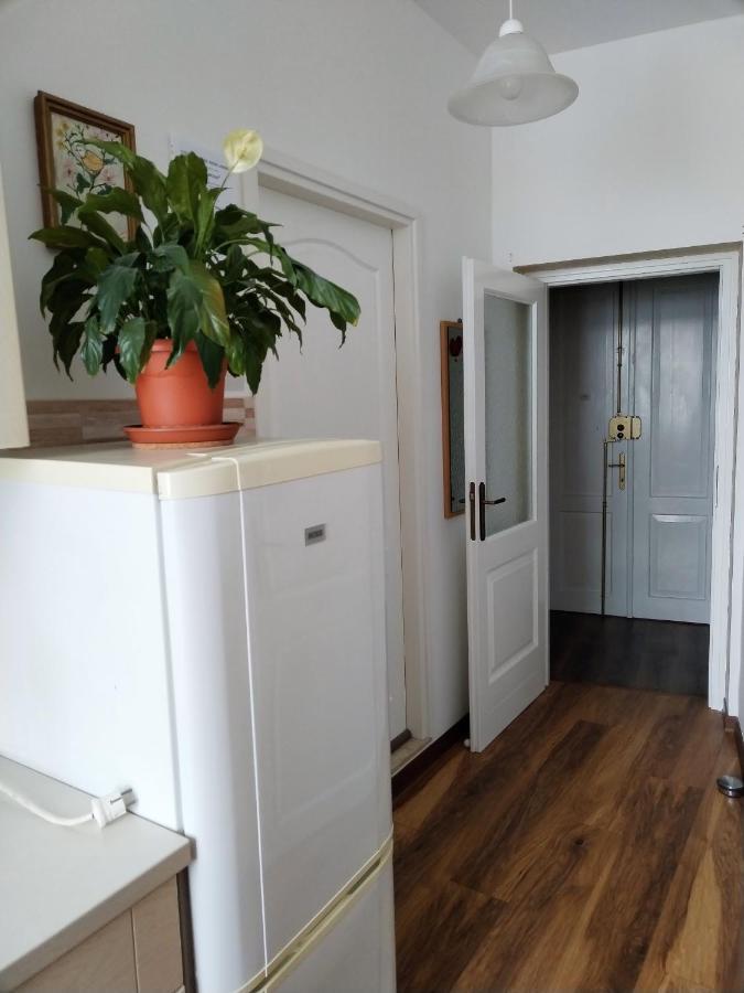 Studio Apartments Dalla Nonna โรวีน ภายนอก รูปภาพ